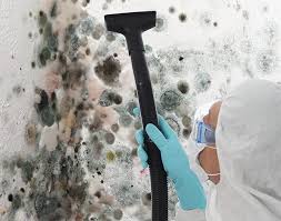 Biohazard Mold Removal in Lake Wynonah, PA